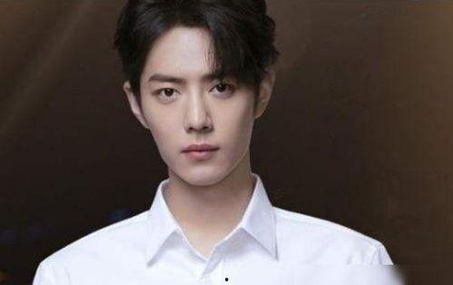 肖战最新爆料娱乐圈,幕后真相与个人感悟  第2张